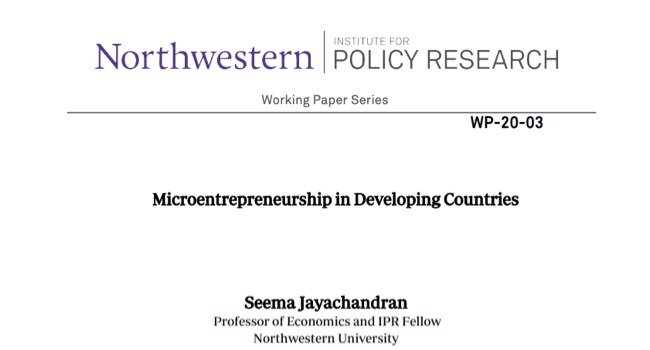 Microentreprenuership in Developing Countries